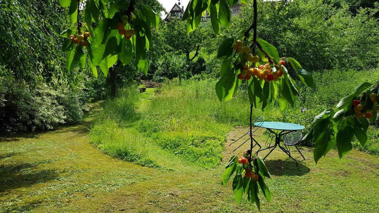 Gite Au Petit Ruisseau-Etage Et Combles-Maison Alsacienne 4 Personnes 4 Nuitees Minimum Langensoultzbach ภายนอก รูปภาพ