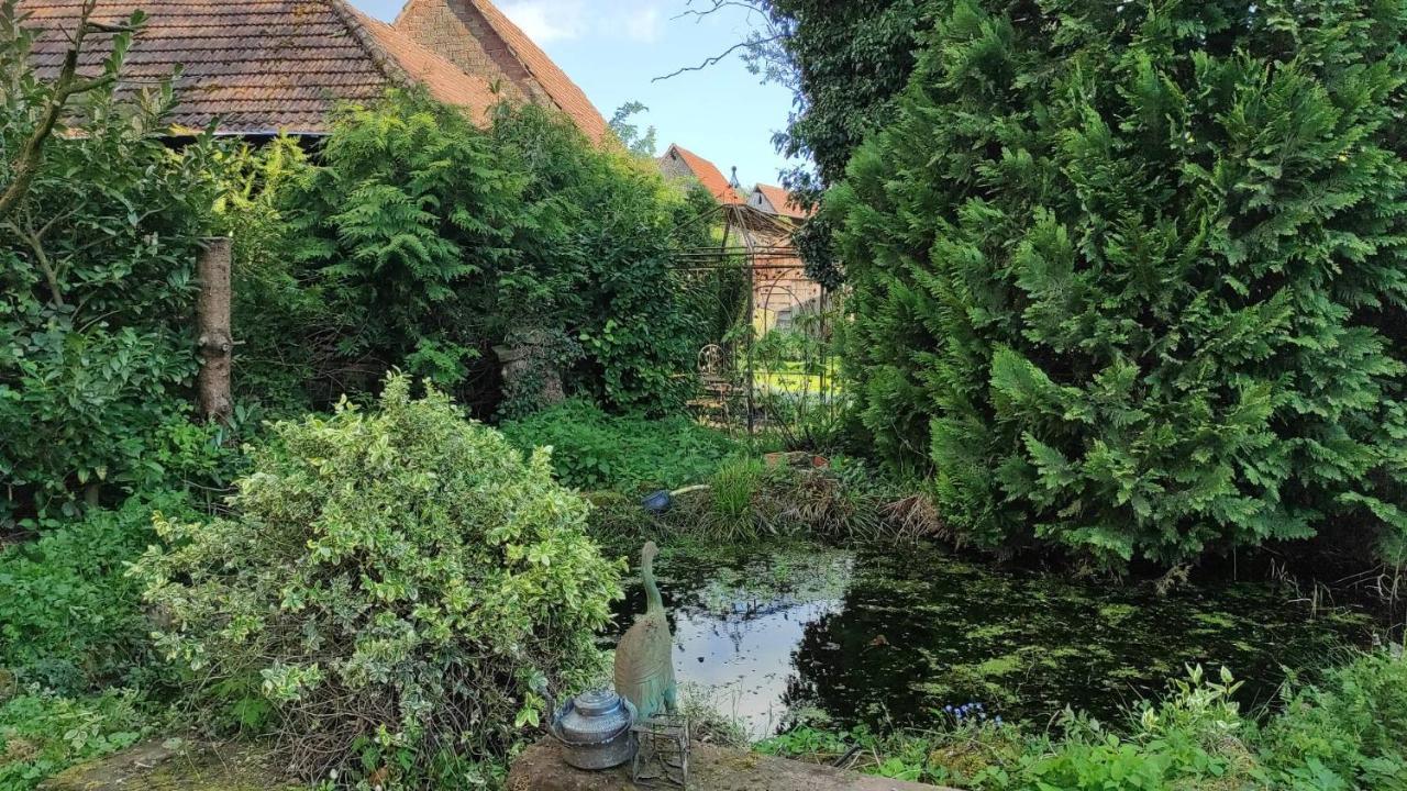 Gite Au Petit Ruisseau-Etage Et Combles-Maison Alsacienne 4 Personnes 4 Nuitees Minimum Langensoultzbach ภายนอก รูปภาพ