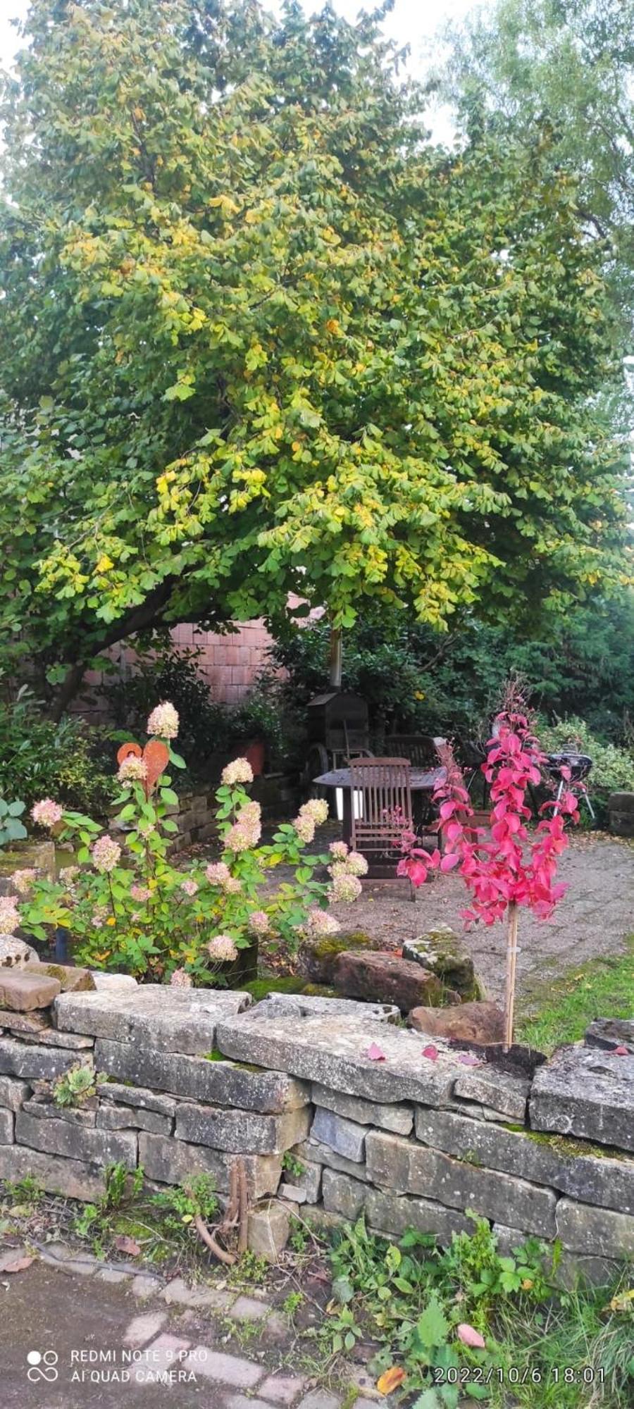Gite Au Petit Ruisseau-Etage Et Combles-Maison Alsacienne 4 Personnes 4 Nuitees Minimum Langensoultzbach ภายนอก รูปภาพ